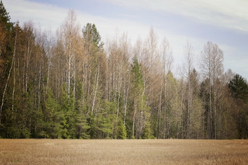 countryside village life