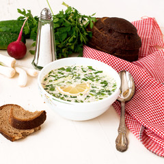 hash - a traditional Russian cold soup