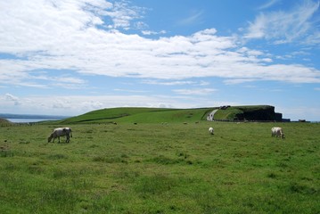 Cliffs of Moher