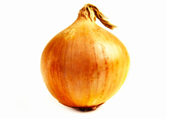 Gul lök.