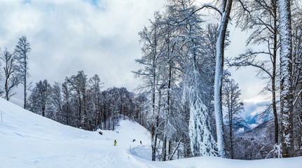 Krasnaya Polyana Gorky Gorod 