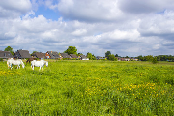 Obraz premium German countryside landscape, Lower Rhine Region