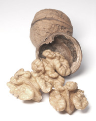 Walnuts Isolated on White Background