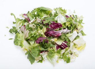  Green and red leaf of lettuce . Isolated on a white background