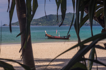 Obraz na płótnie Canvas Longboats moored along the tree lined beach of Patong 