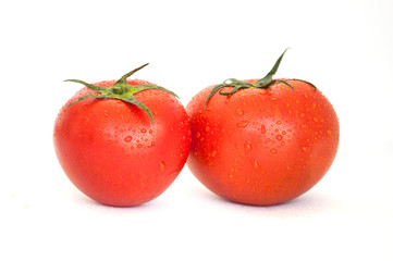 tomatos isolated in white