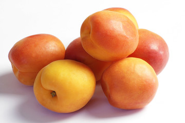 abricots 20052015