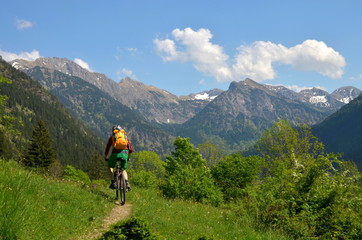 Fototapeta na wymiar Radfahrer mit MTB auf Weg im Gebirge