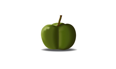 rubber tree young seed