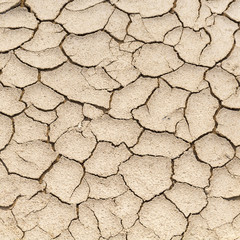 Dried land texture.