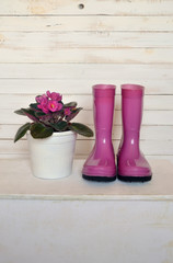 still life with violet and boots in vintage style