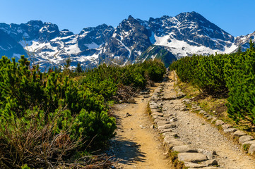 Tatry - Dolina Gąsienicowa © Ralfik D