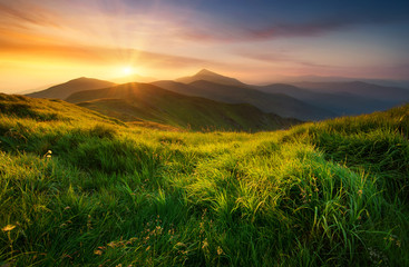 Naklejka premium Mountain valley during sunrise. Natural summer landscape