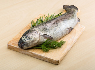 Raw fresh trout