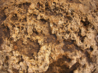 Fototapeta premium Texture of the wet and yellow stone