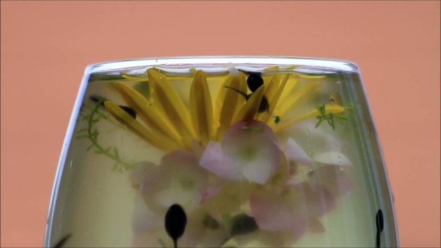 Kaulquappen schwimmen unterwasser und kanbbern an Bl&uuml;ten
 