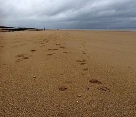 walking at the beach