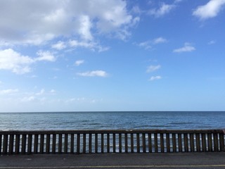 Fototapeta premium the fence