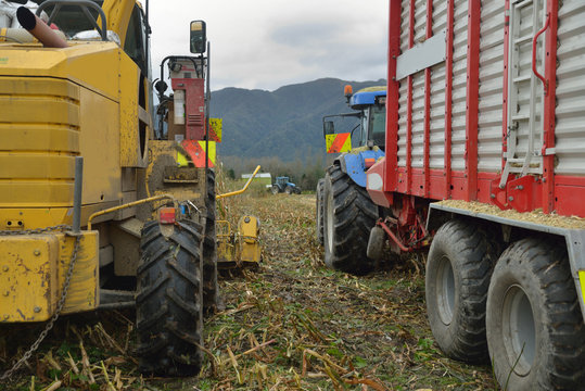 Harvesting Maize For Silage