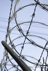 Barbed Wire and Razor Wire