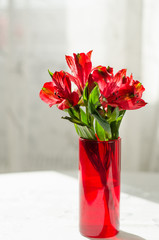bouquet of red alstroemeria in vase on white table