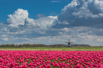 Scenic Holland