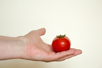 Tomate in geöffneter Hand