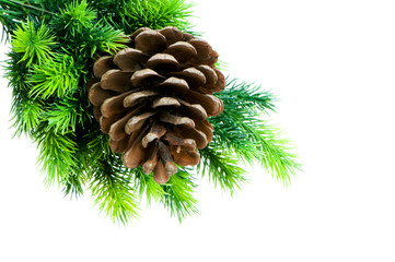 Christmas tree isolated on the white background