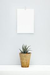 Hipster scandinavian style room interior. Mockup with succulent