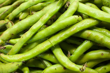 Green braod raw and fresh heap in market