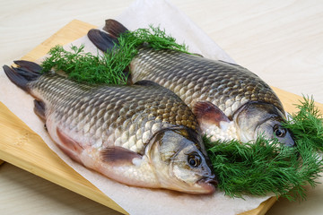 Two crucian