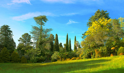 Green grass on a golf field