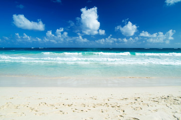 Fototapeta premium sea
