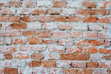 Brick Wall - Background