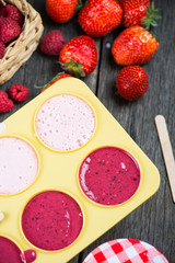 making homemade summer fruit lolly pops ice cream