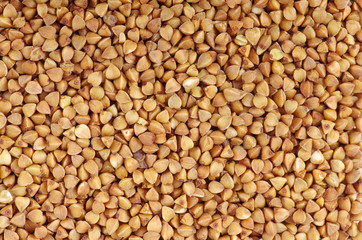  buckwheat