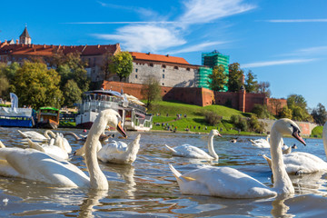 Fototapeta Wawel castle in Krakow obraz