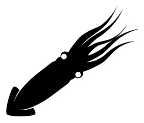 Squid black vector image