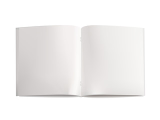 blank open book template