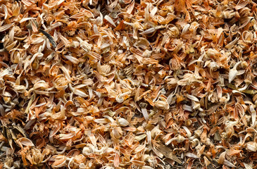Dry Tamarind flowers