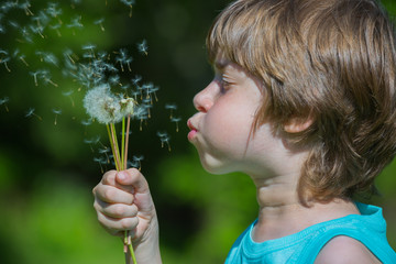 Boy blowing dandelion