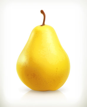 Pear, summer fruit, vector icon