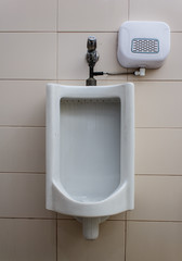 men's chamber pot