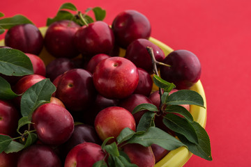 plum