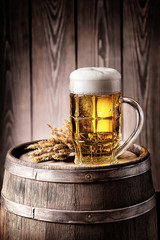 Mug of light beer with foam and spikelets