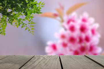 Defocus and Blur background of terrace wood and Spring cherry bl