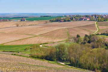 Fototapeta na wymiar Beautiful wineyards in Burgundy