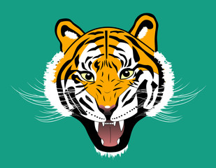 Tiger anger head on green background