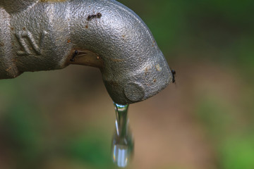 faucet with drop water