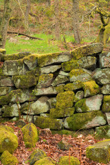 Padley Gorge in the Peak District